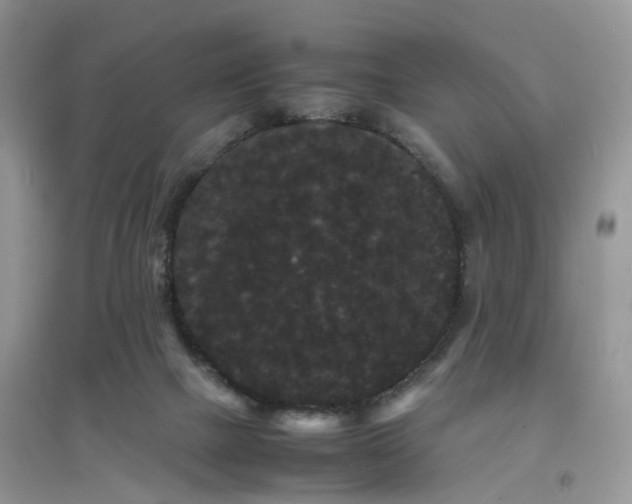 X0000097620073200803142011