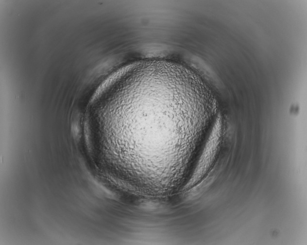 X0000097620074200803142011