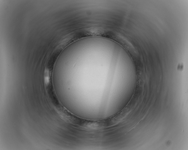 X0000097620075200803142011