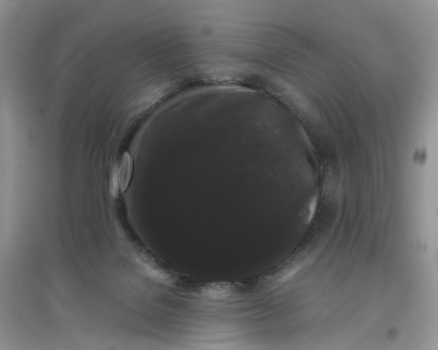 X0000097620076200803142011
