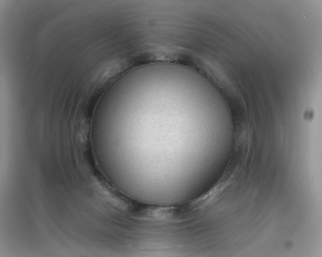 X0000097620078200803142011