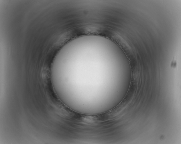 X0000097620079200803142011