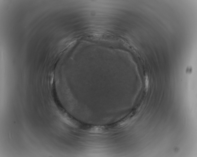 X0000097620080200803142011