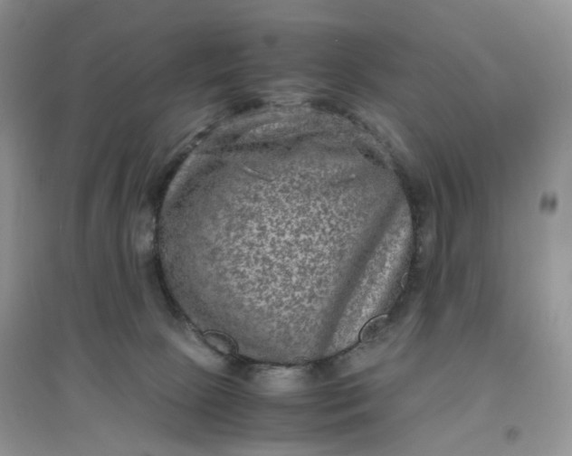 X0000097620081200803142011