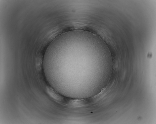 X0000097620082200803142011