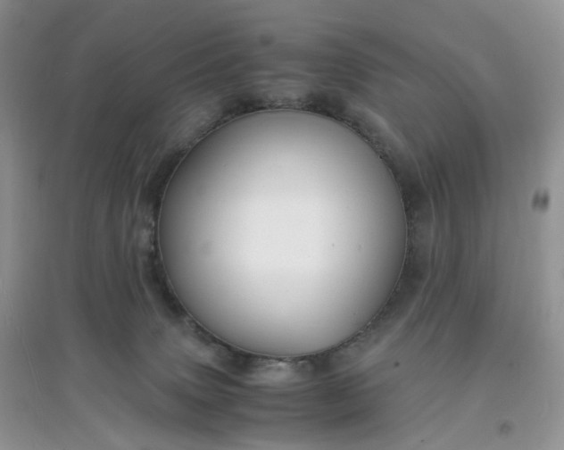 X0000097620083200803142012