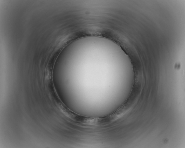 X0000097620084200803142012
