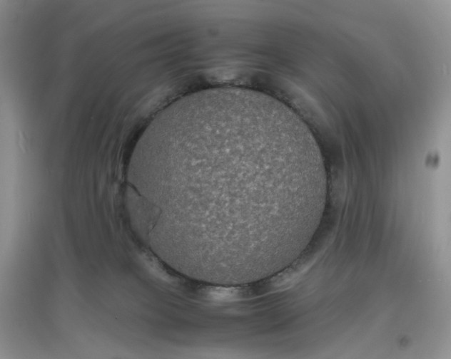X0000097620085200803142012