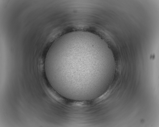 X0000097620086200803142012