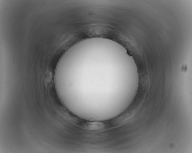 X0000097620087200803142012