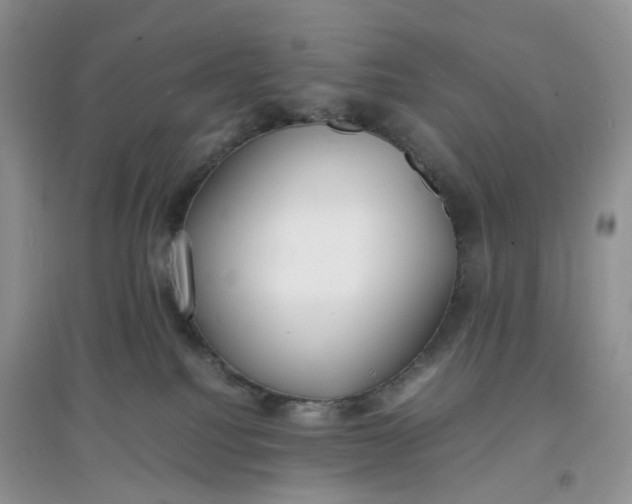 X0000097620088200803142012