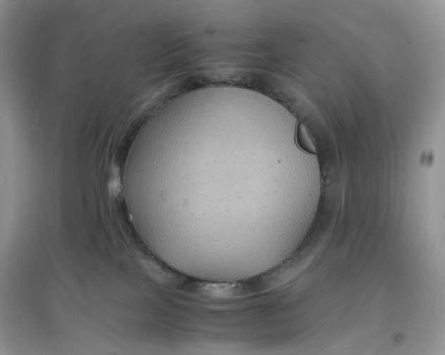 X0000097620089200803142012