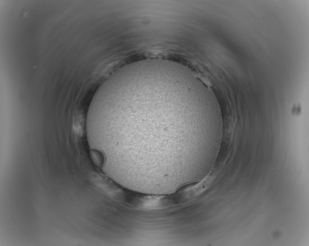 X0000097620090200803142012