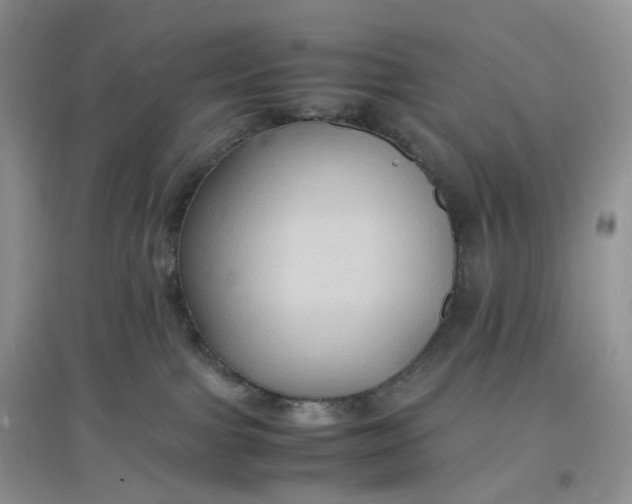X0000097620091200803142012