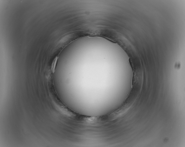 X0000097620092200803142012