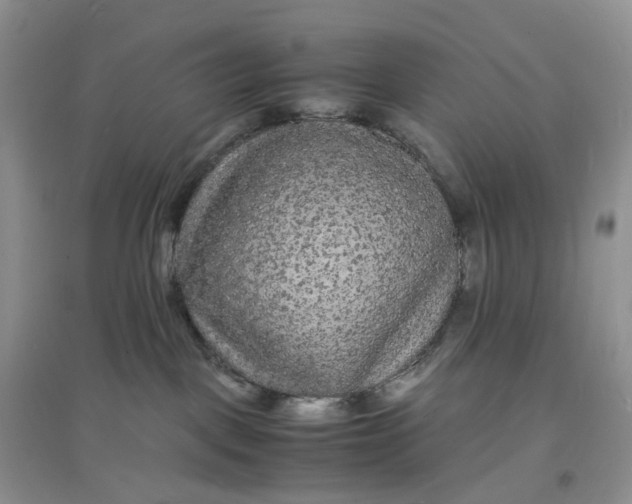X0000097620093200803142012