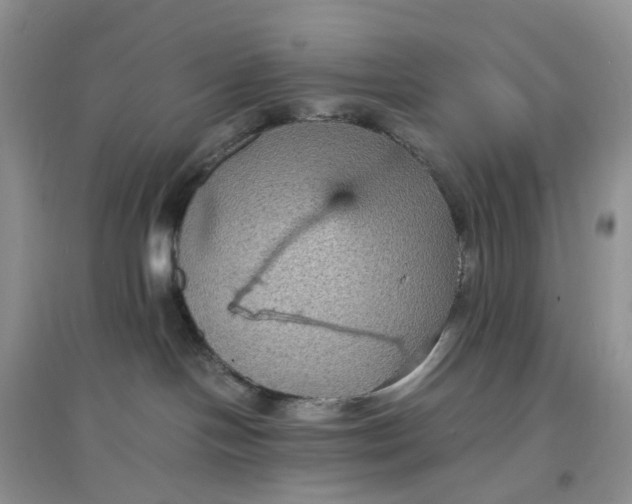 X0000097620094200803142012