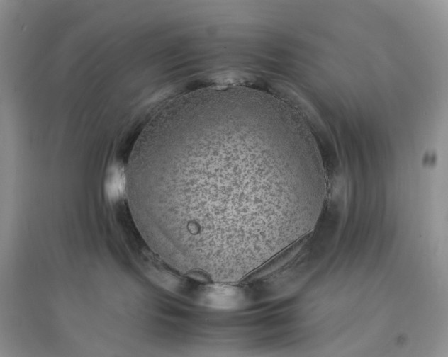 X0000097620095200803142012