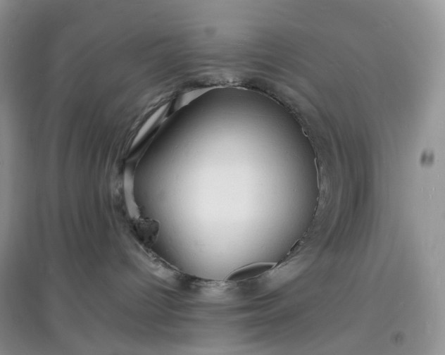 X0000097620096200803142012