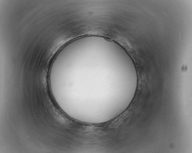 X0000097620098200803142011