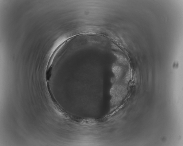 X0000097620099200803142011
