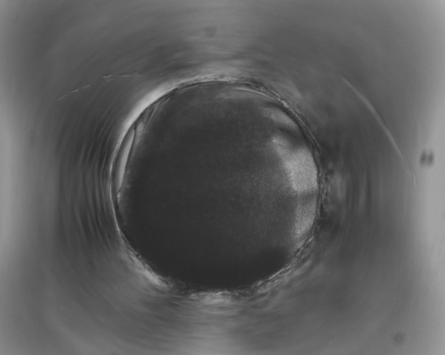 X0000097620100200803142011