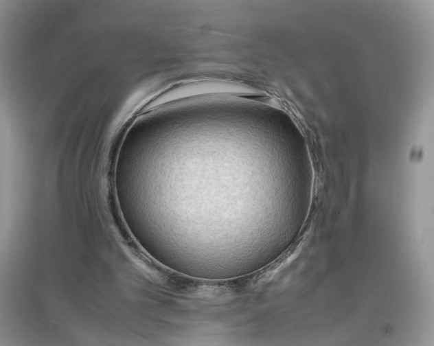 X0000097620101200803142011