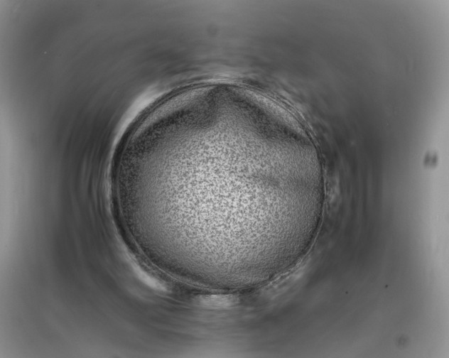 X0000097620102200803142011