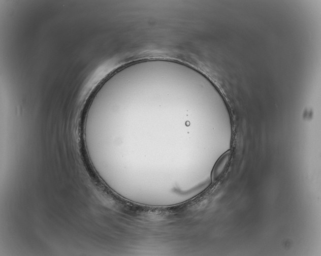X0000097620103200803142011