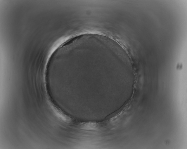 X0000097620104200803142011
