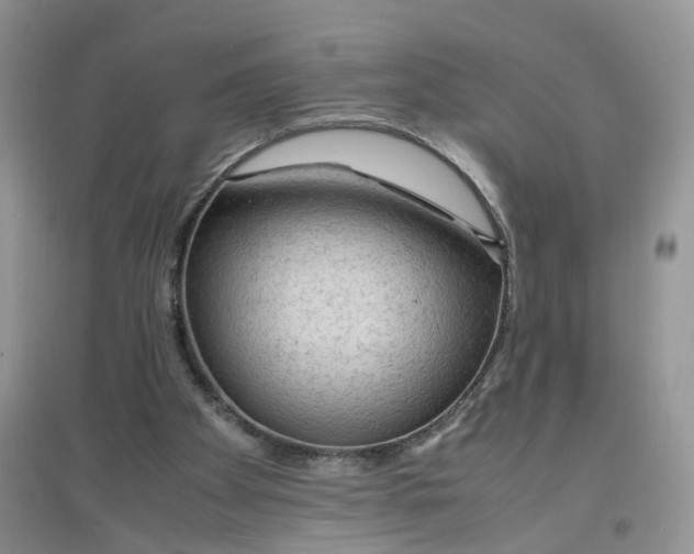 X0000097620105200803142011
