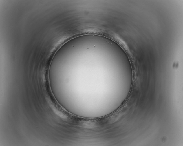 X0000097620106200803142011