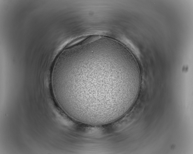 X0000097620107200803142011