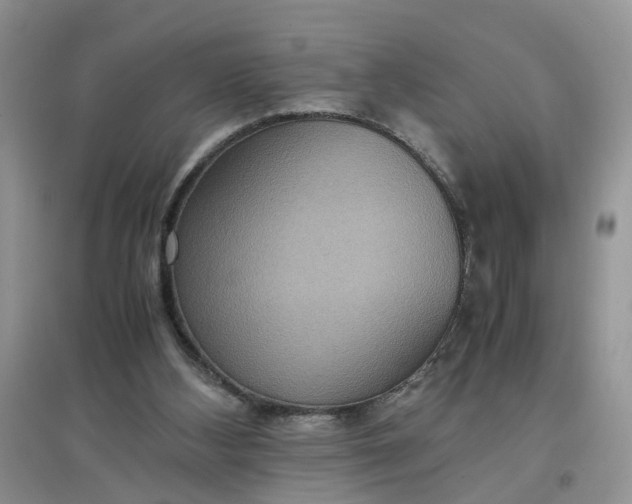 X0000097620108200803142011
