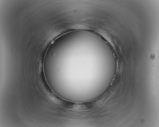 X0000097620109200803142011