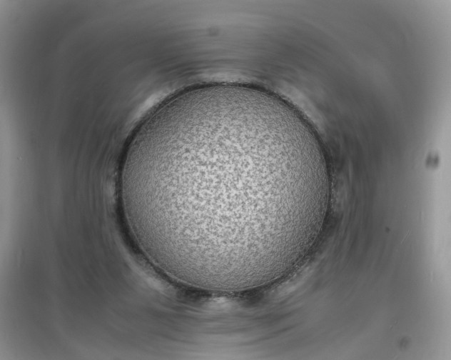 X0000097620111200803142011