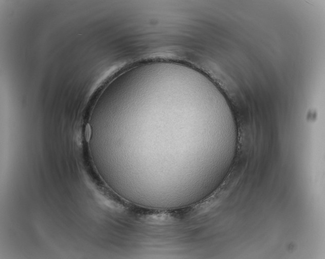 X0000097620112200803142011