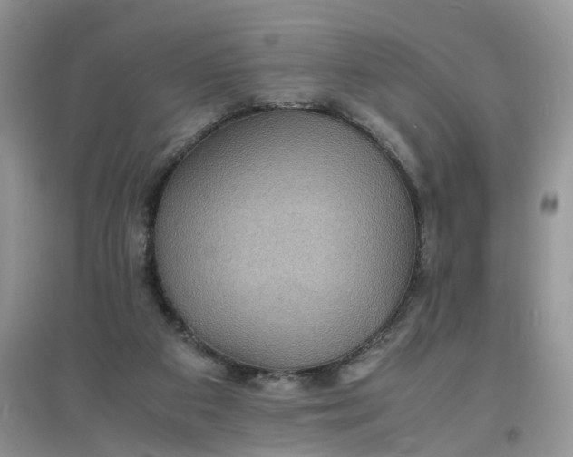 X0000097620113200803142011