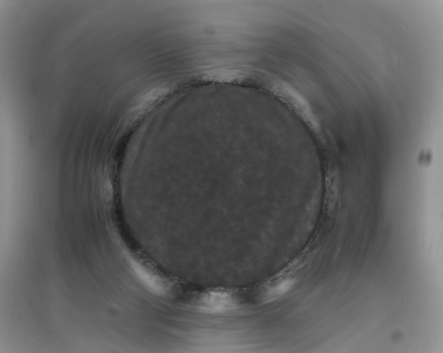 X0000097620114200803142011
