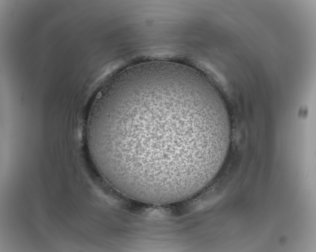 X0000097620115200803142011