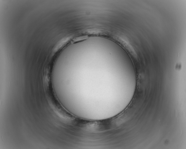 X0000097620116200803142011