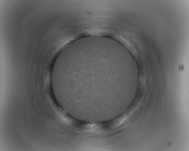 X0000097620117200803142011