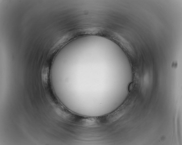X0000097620118200803142011