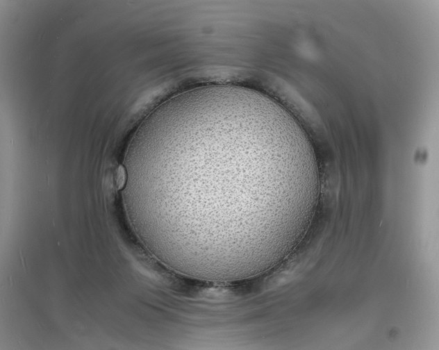 X0000097620119200803142011