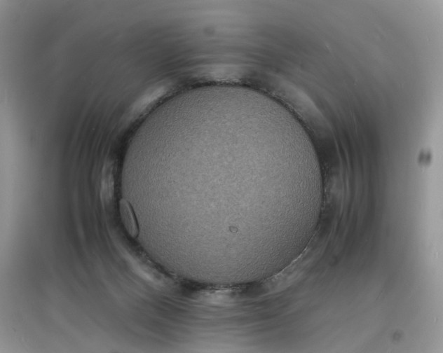 X0000097620120200803142011