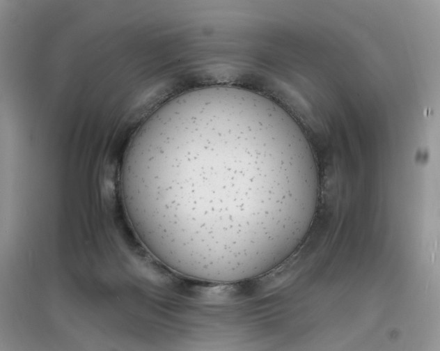 X0000097620122200803142011