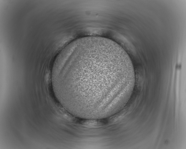 X0000097620123200803142010