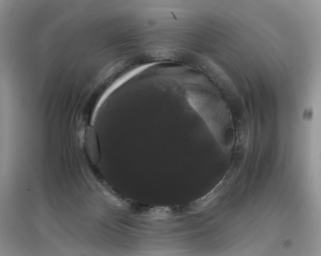 X0000097620124200803142010