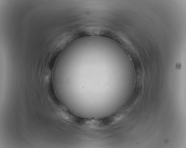 X0000097620125200803142010
