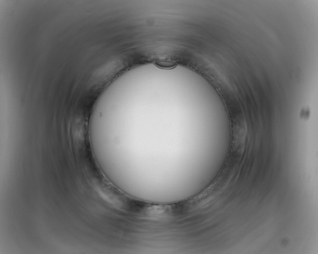 X0000097620126200803142010